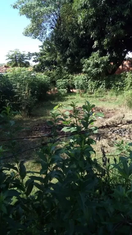 TERRENO EN VENTA — foto 3