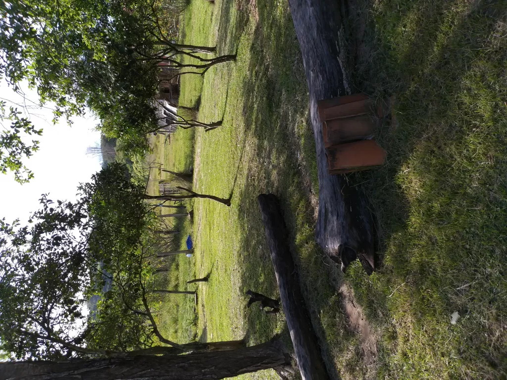 OFERTO CASA QUINTA EN ITACURUBI DE LA CORDILLERA — foto 3