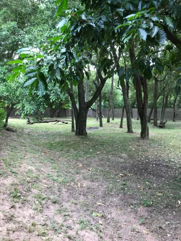 VENDO CASA EN SAN BERNARDINO! — foto 3