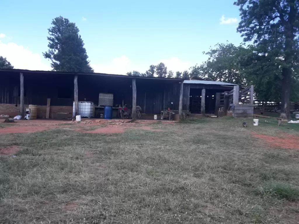 CAP. BADO – AMAMBAY: 8.000 HAS MECANIZADAS, EQUIPADA FULL – 4200 USD HA — foto 3