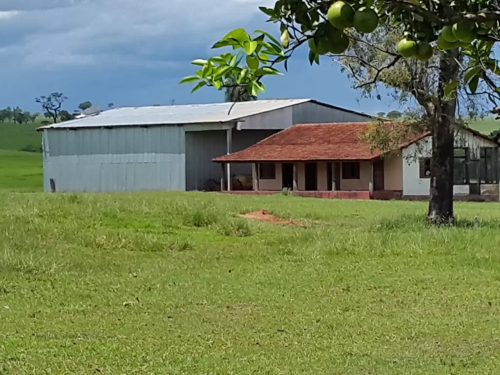CAP. BADO – AMAMBAY: 300 HECTÁREAS MECANIZADAS IDEALES P SOJA AGRÍCOLAS — foto 3