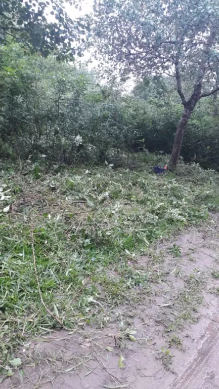 VENDO TERRENO EN LIMPIO — foto 2