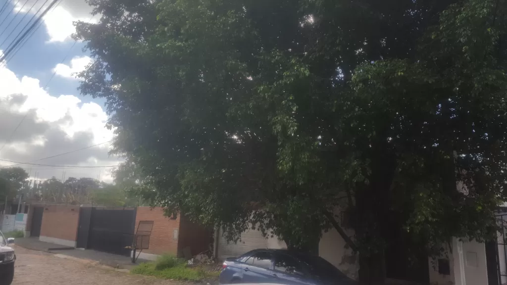 TERRENO. TINGLADO con dos oficinas, MBURUKUJA — foto 2