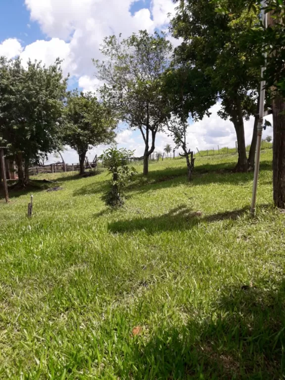 Vendo Casa Quinta — foto 2
