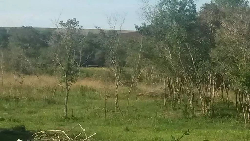 Vendo terreno en capitán Miranda — foto 3