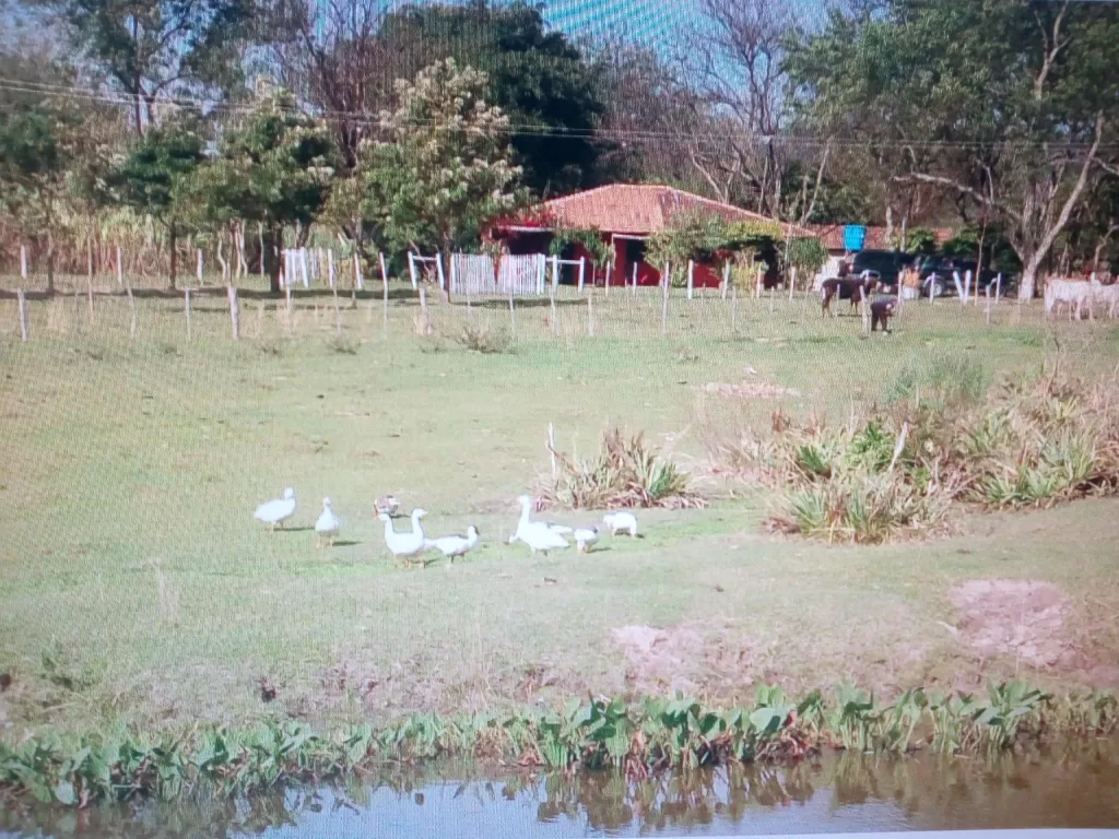 VENDO PROPIEDAD RURAL DE 40 HECTÁREAS — foto 2