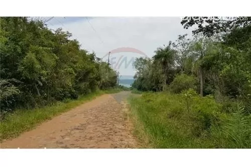 ESPECTACULAR PROPIEDAD DE 5 HECTAREAS 460,000 USD — foto 3