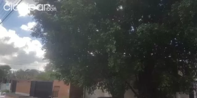 VENDO DEPOSITO EN ASUNCION ZONA AVDA. PRIMER PRESIDENTE COD 2081 PRECIO: 240.000 USD. — foto 2
