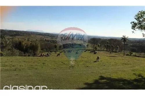 Venta de 583 Hectáreas en el Dpto. de Paraguarí — foto 3