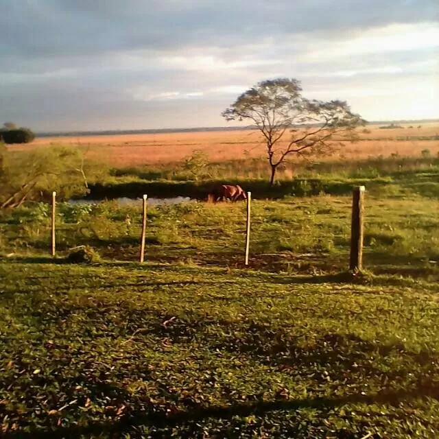 ESTELA INMOBILIARIA VENDE!!! PROPIEDAD AGRICOLA GANADERA — foto 3