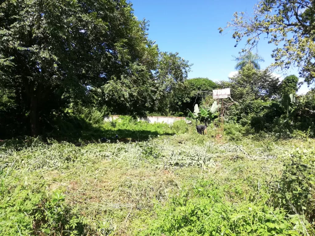 OFERTA!! HERMOSO TERRENO EN LUQUE ZONA JARDIN DE ORO DETRAS DE FABRICA DE LEOPARD — foto 2