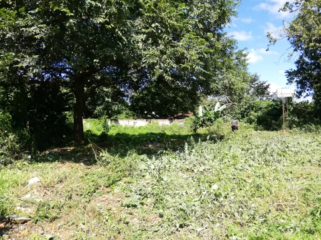 OFERTA!! HERMOSO TERRENO EN LUQUE ZONA JARDIN DE ORO DETRAS DE FABRICA DE LEOPARD — foto 3