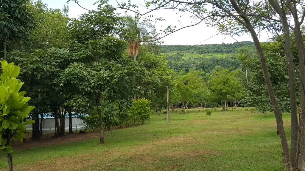 VENDO PROPIEDAD DE 5 HAS. EN PARAGUARI (ZONA ECO RESERVA MBATOVI) — foto 2
