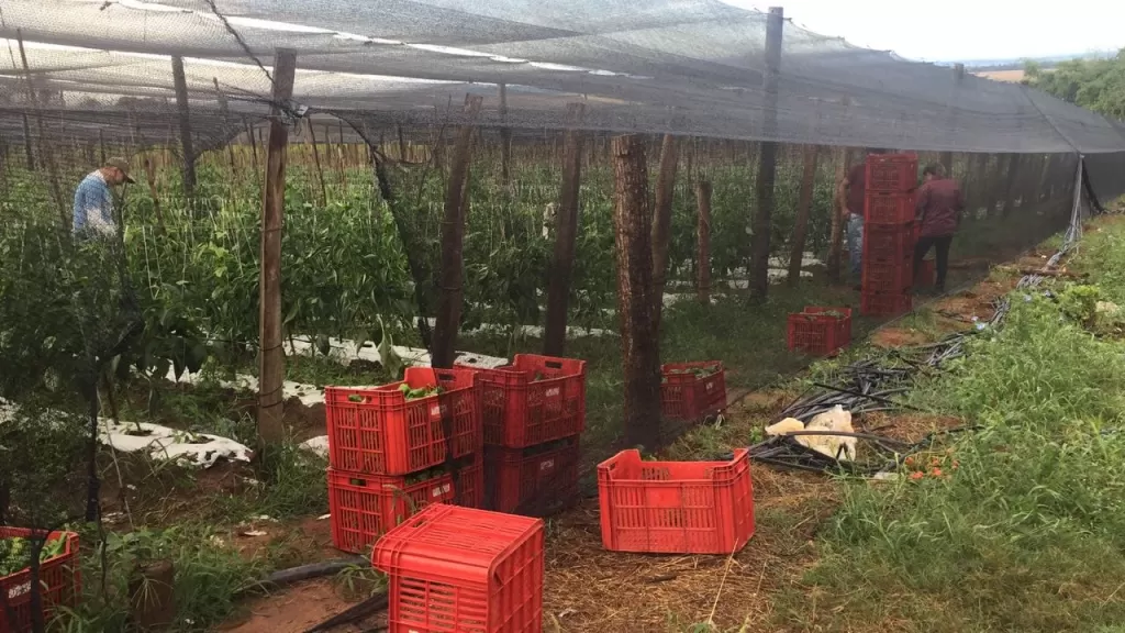 Granja en Arroyos y Esteros — foto 3