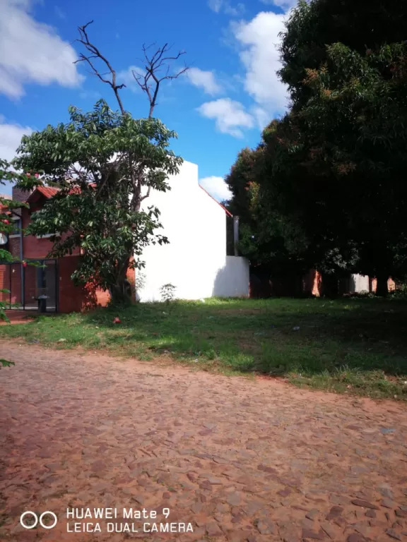 Terreno atrás de dylan — foto 2