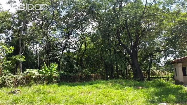 VENDO AMPLIO TERRENO EN SAN LORENZO BO LAGUNA GRANDE, DETRÁS DEL TALLER DE TOYOTOSHI — foto 2