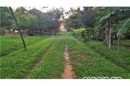 TERRENO DE 2000MS2 PARA QUINTA EN LIMPIO — foto 2