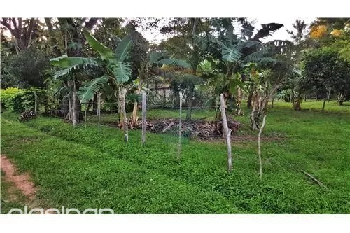 TERRENO DE 2000MS2 PARA QUINTA EN LIMPIO — foto 3