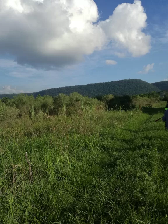 Terreno de 5ha apto para agricultura con arroyo — foto 2