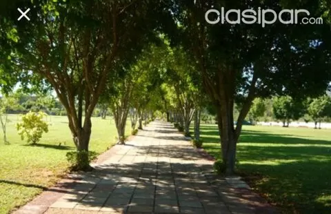 Super oferta!! Vendo parcela en jardín de la paz de Luque — foto 2