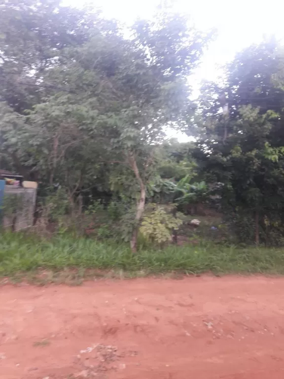 VENDO URGENTE!!! TERRENO EN LUQUE — foto 2