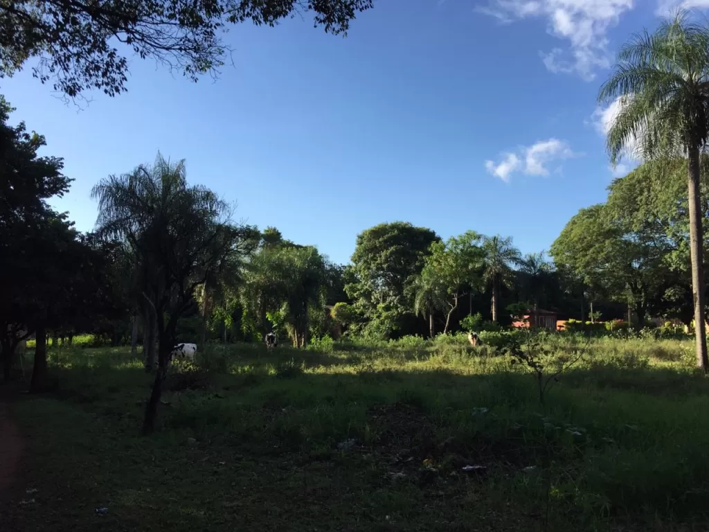 Vendo dos terrenos en Itagua — foto 2