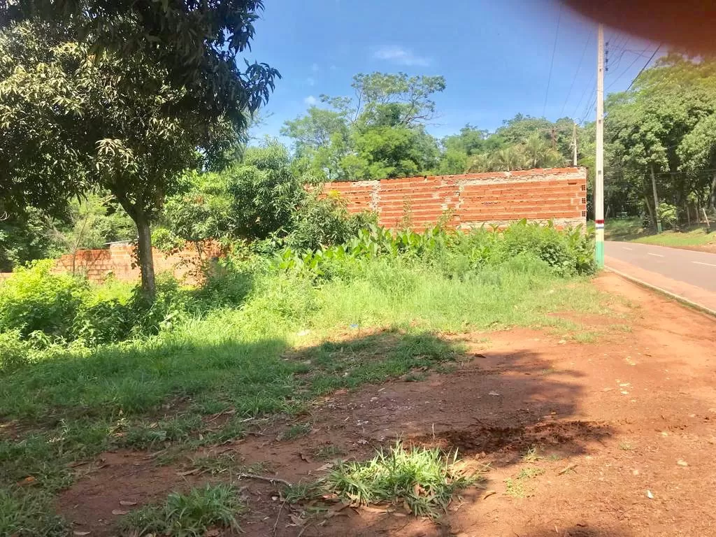 Superficie 3.500 mts2 — foto 3
