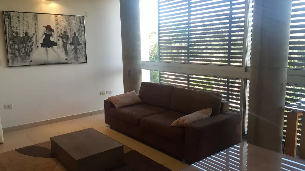 DPTO. AMOBLADO - ZONA CENTENARIO — foto 3