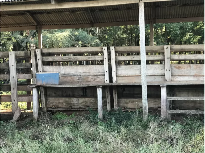 VENDO ESTANCIA FORMADA 120Has. - Dpto. de Caaguazú — foto 3