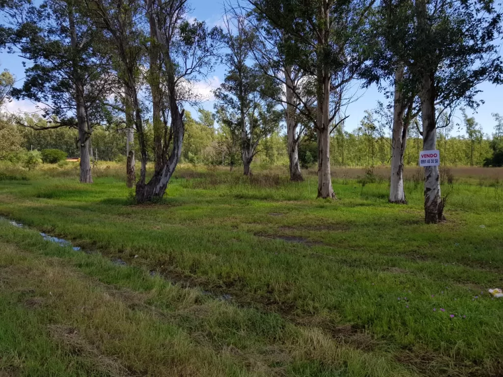 OFERTA VENDO TERRENO DE 25 X 60 EN YPACARAI SOBRE RUTA 2 C DEL DESVIÓ A SAMBER — foto 2