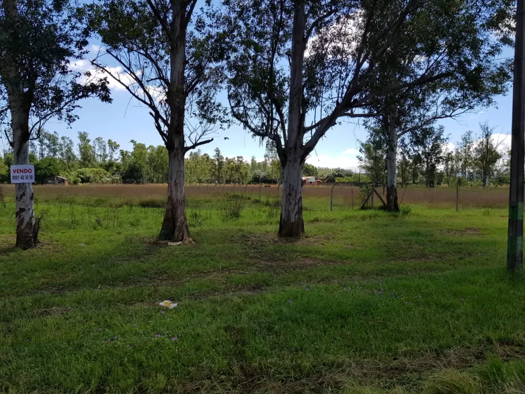 OFERTA VENDO TERRENO DE 25 X 60 EN YPACARAI SOBRE RUTA 2 C DEL DESVIÓ A SAMBER — foto 3