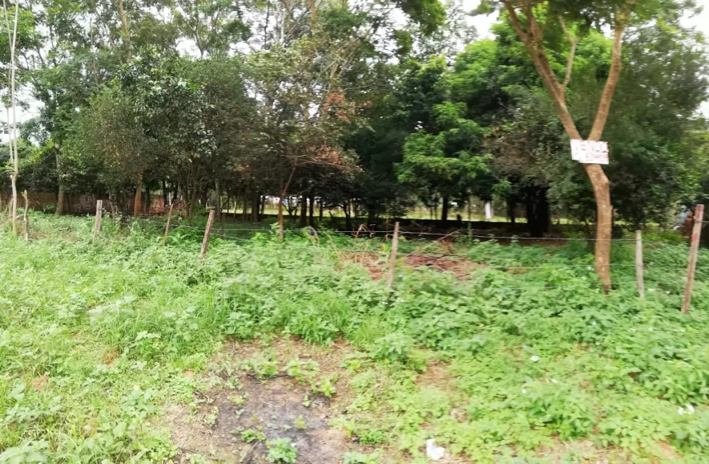 Vendo Terreno — foto 2