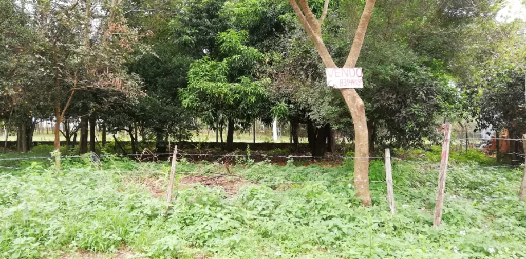 Vendo Terreno — foto 3