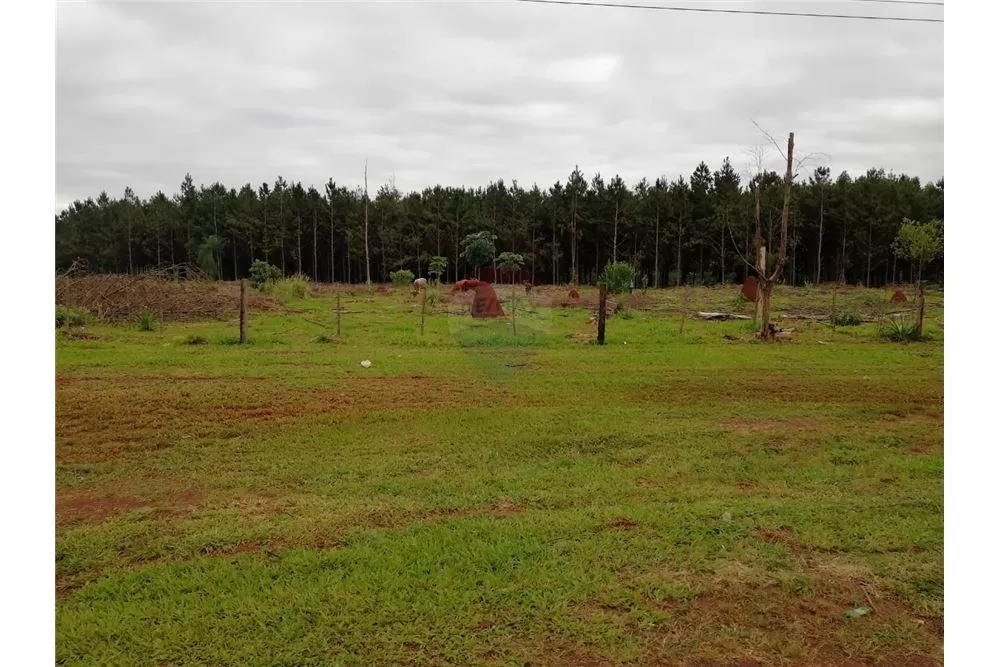 Terreno sobre Ruta VI - Colonia Vacay - Bella Vista - Capital de la Yerba Mate — foto 2