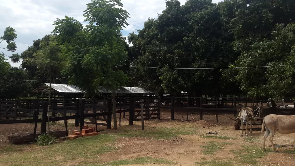 Hermosa granja — foto 2