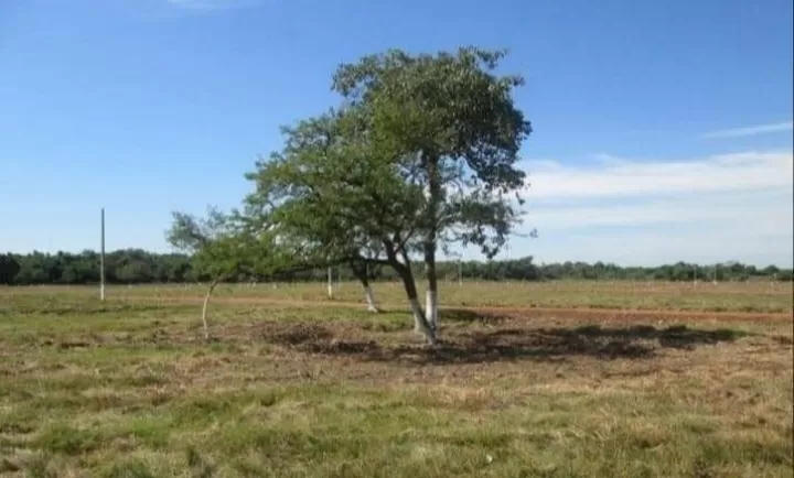 Venta de terreno a metros del liceo militar — foto 2