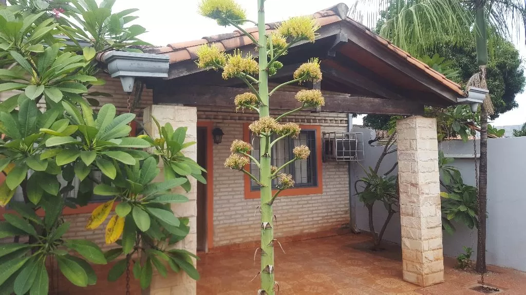 VENDO CASA EN ASUNCION — foto 3