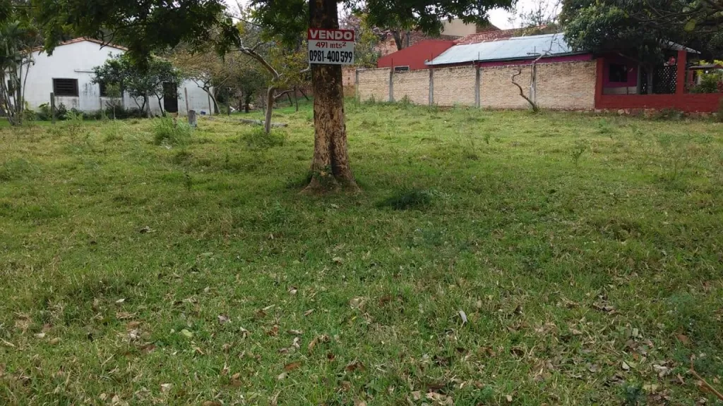 Oferta terreno en Luque — foto 2