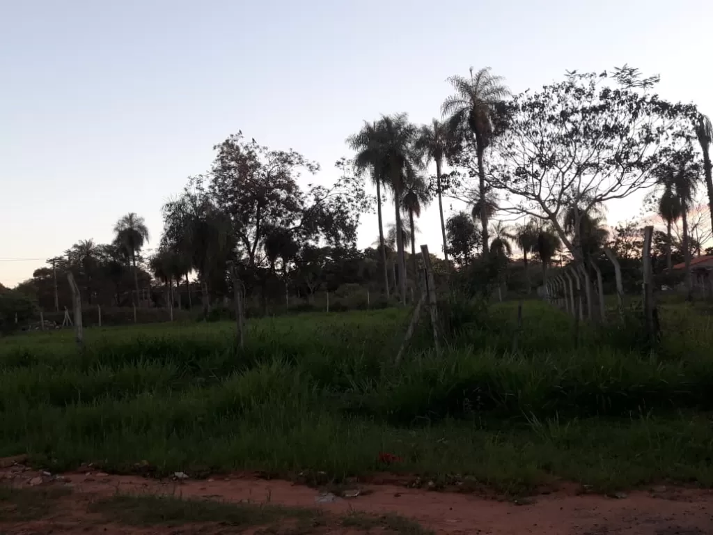 VENDO HERMOSO TERRENO EN AREGUA — foto 2