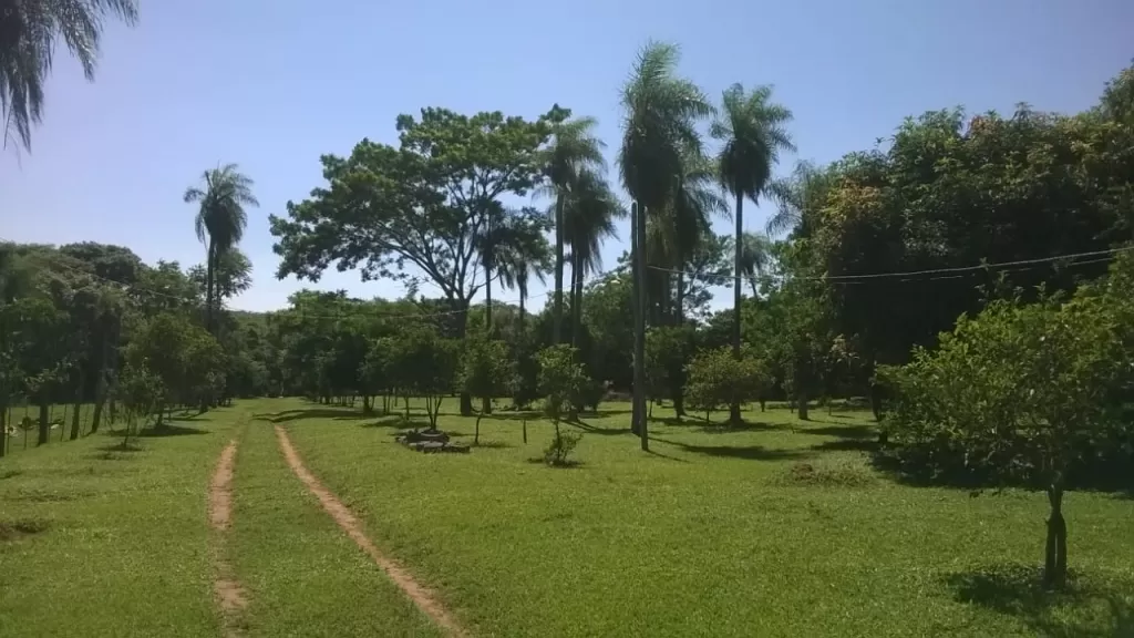VENDO CASA QUINTA EN CAACUPE- CORDILLERA — foto 2