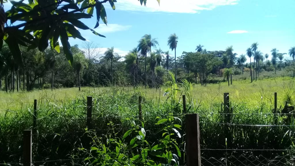 Vendo propiedad en Itá - Km 42 — foto 2