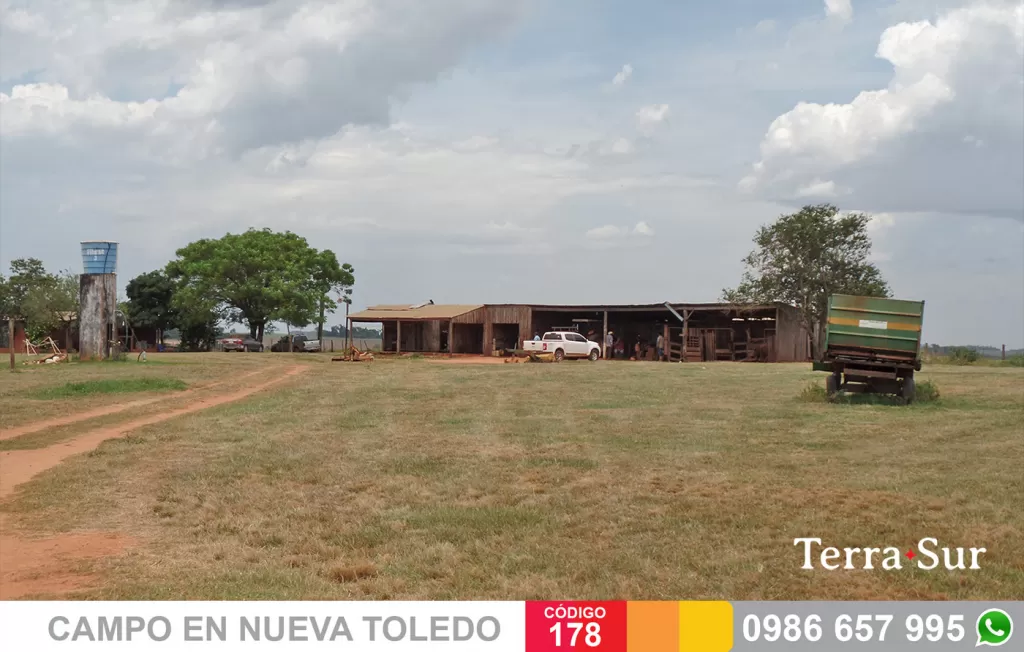 CAMPO NUEVA TOLEDO, CAAGUAZU — foto 2