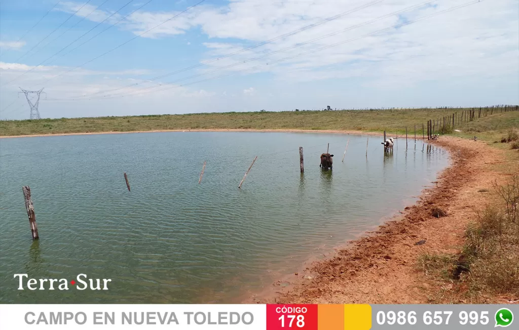 CAMPO NUEVA TOLEDO, CAAGUAZU — foto 3