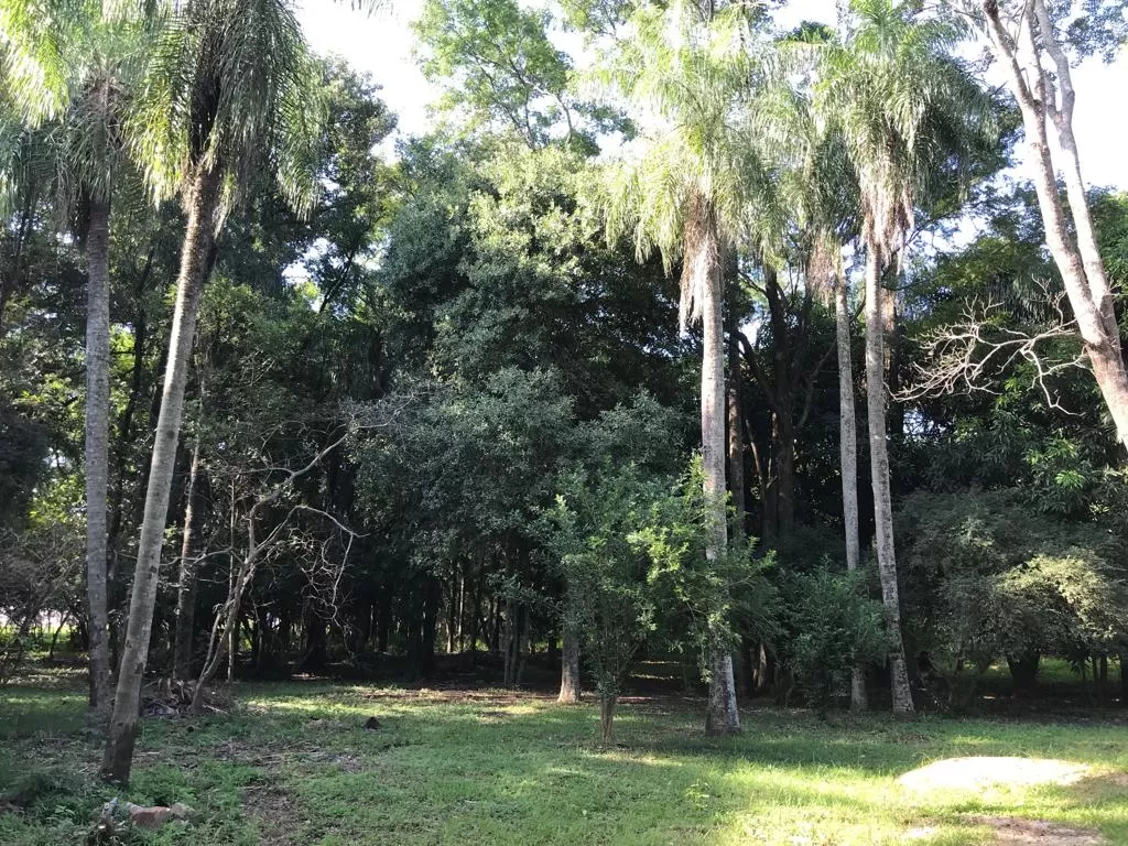 CASA QUINTA LIMPIO — foto 3