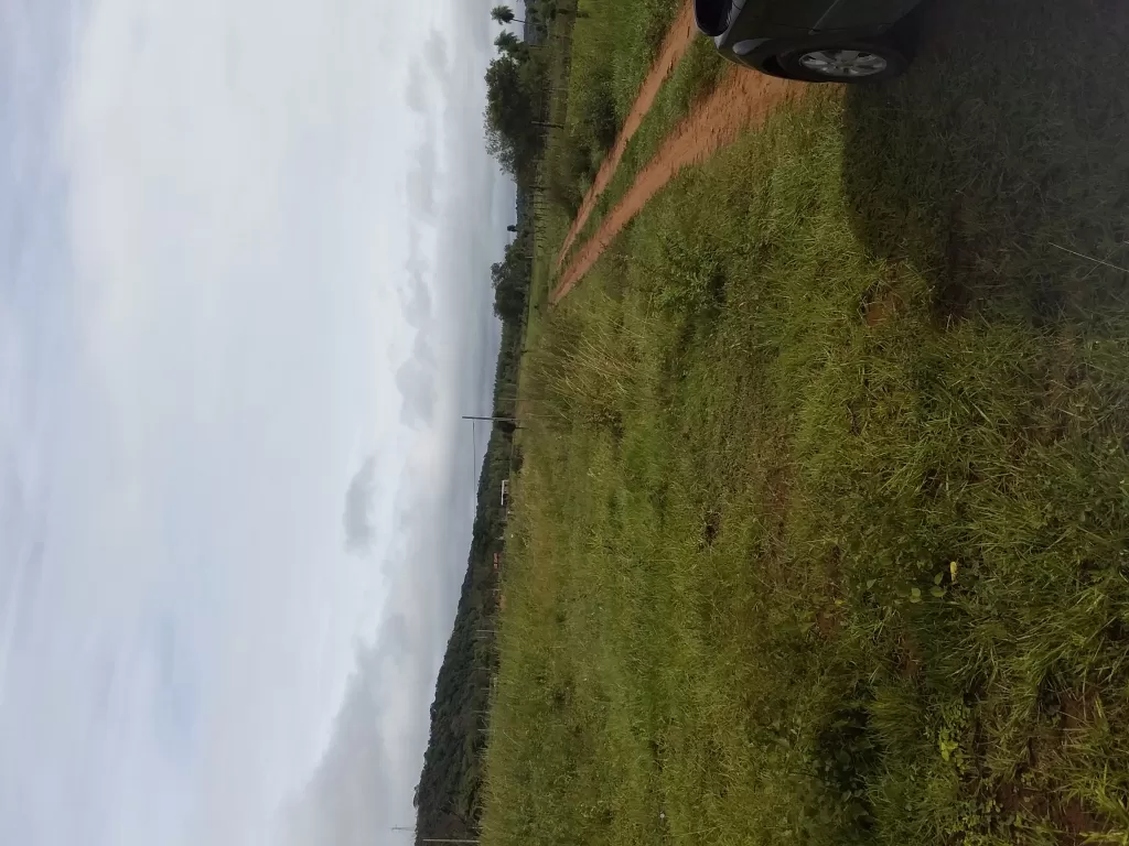 Vendo en oferta 2 lotes en Caacupe. — foto 2