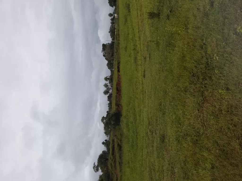Vendo en oferta 2 lotes en Caacupe. — foto 3