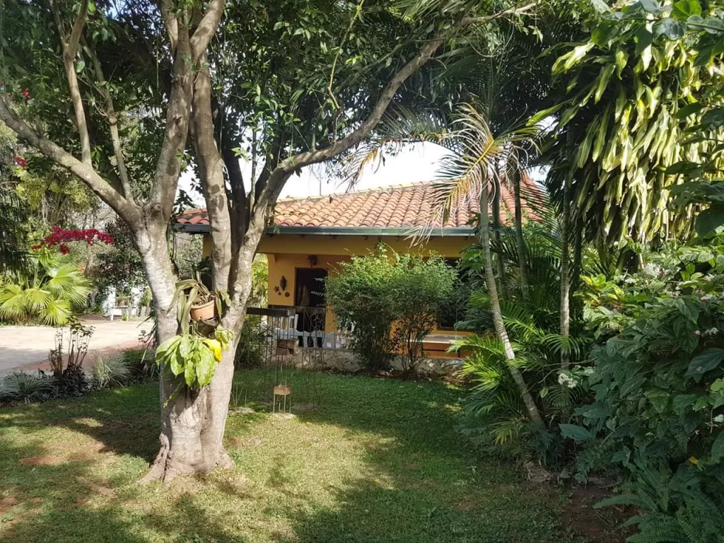 UN PARAÍSO EN YAGUARON - Granja a la venta! — foto 3