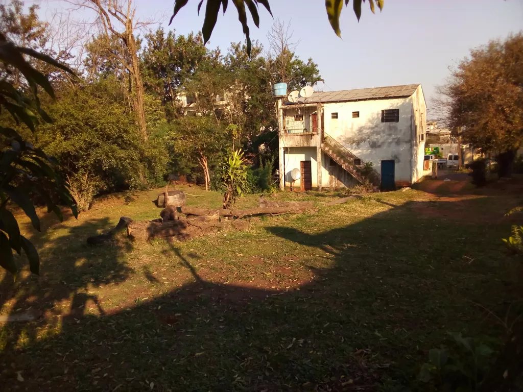 Vendo Vivienda en Barrio San Miguel - Ciudad Nueva - Ciudad del Este - CDE — foto 3