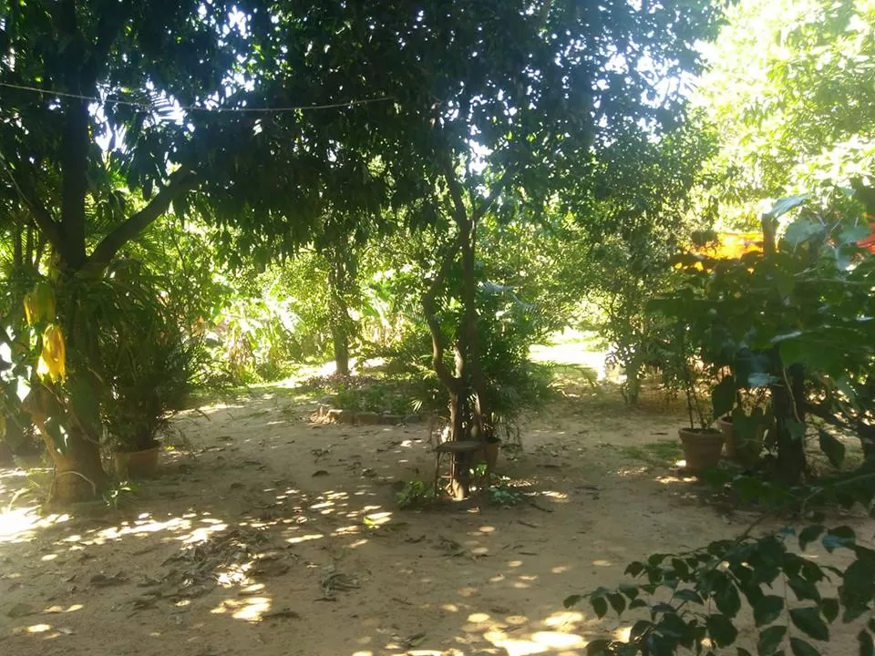 Terreno Mariano Roque Alonso Barrio Central — foto 2