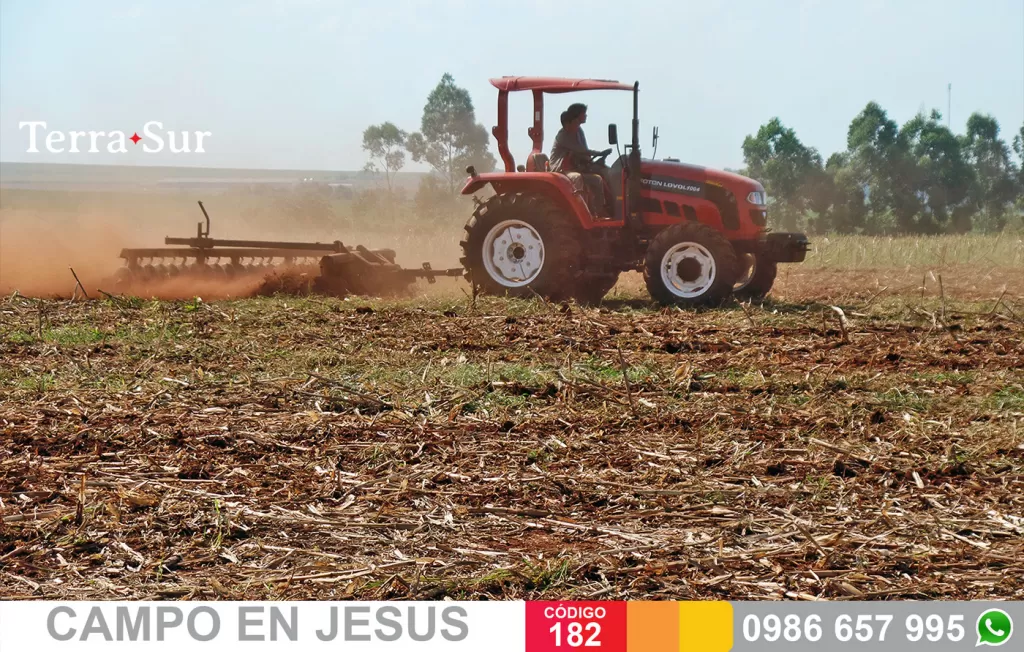 PRODUCTIVA PARCELA AGRíCOLA EN JESÚS — foto 2
